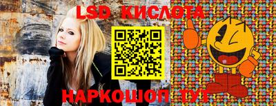 PSILOCYBIN Кунгур