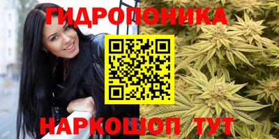 ПСИЛОЦИБИНОВЫЕ ГРИБЫ Кулебаки