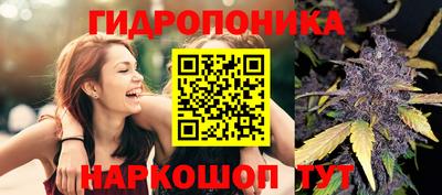ПСИЛОЦИБИНОВЫЕ ГРИБЫ Кулебаки