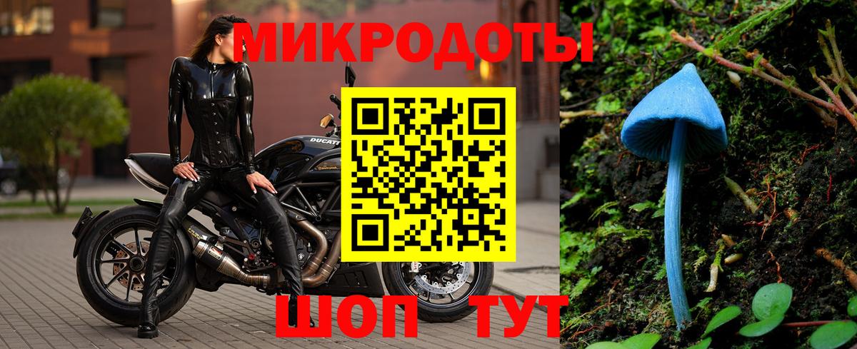 Галлюциногенные грибы Magic Shrooms Гусиноозёрск