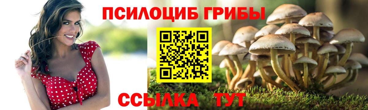 Галлюциногенные грибы Psilocybine cubensis  Псилоцибиновые грибы мухоморы  Гусиноозёрск  Вход с VPN 
